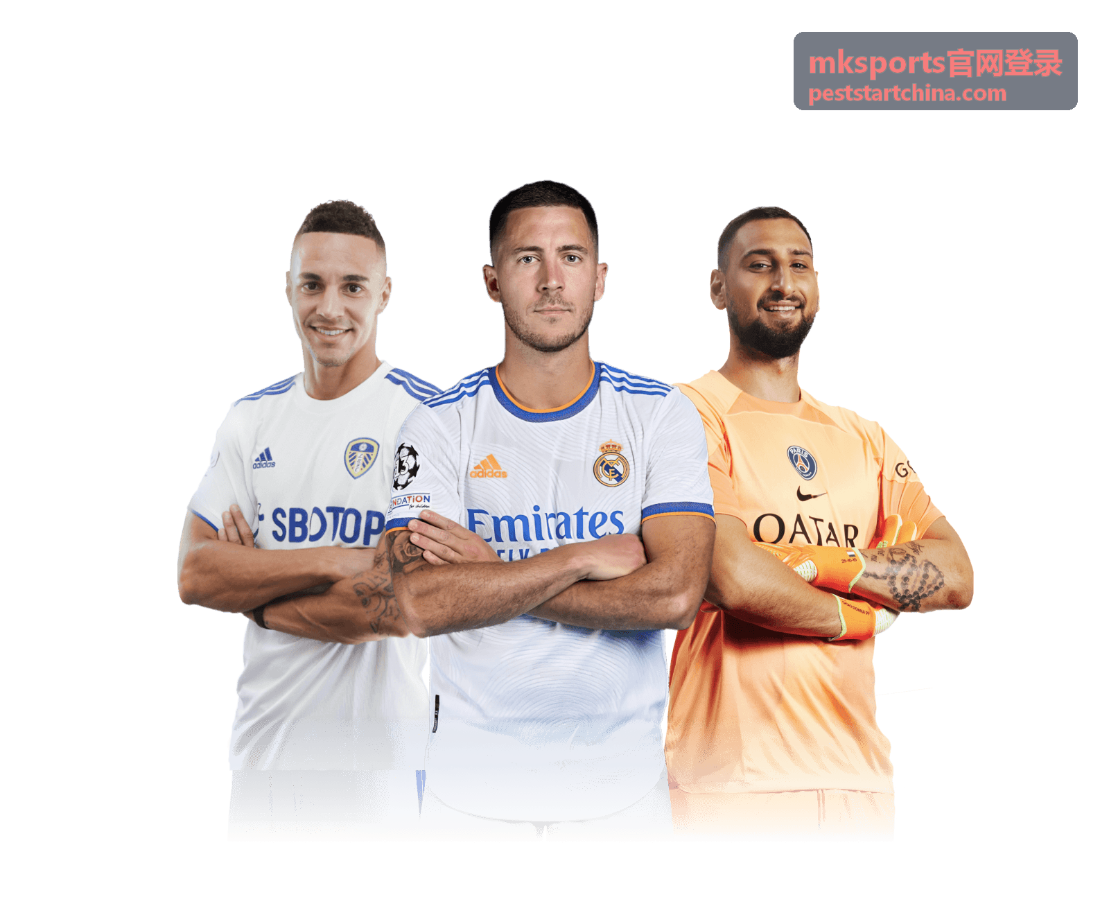 mksports官网登录 新版登录页面操作指引封面