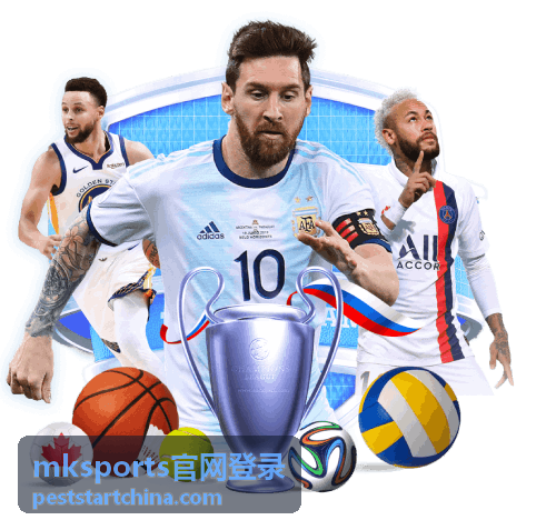 mksports官网登录问题排查与客服支持示意图